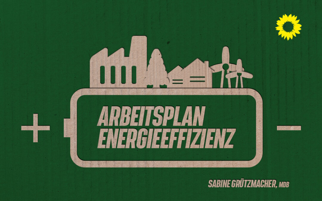 Arbeitsplan zur Energie-Effizienz in Deutschland